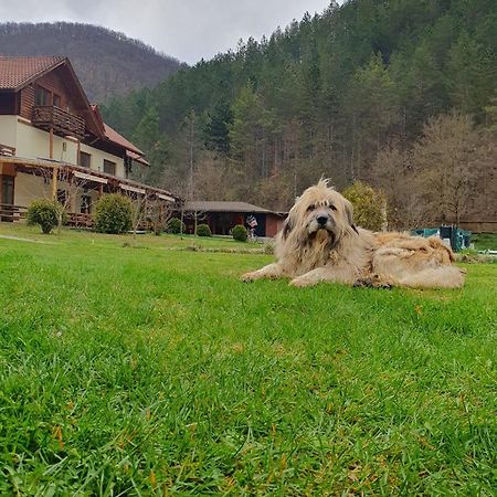 Pensiunea Casiana Ciulpăz Exteriér fotografie