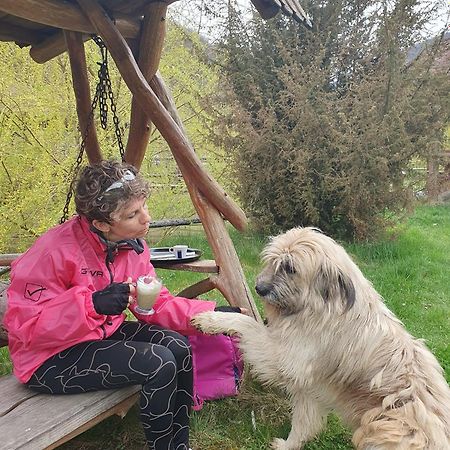 Pensiunea Casiana Ciulpăz Exteriér fotografie