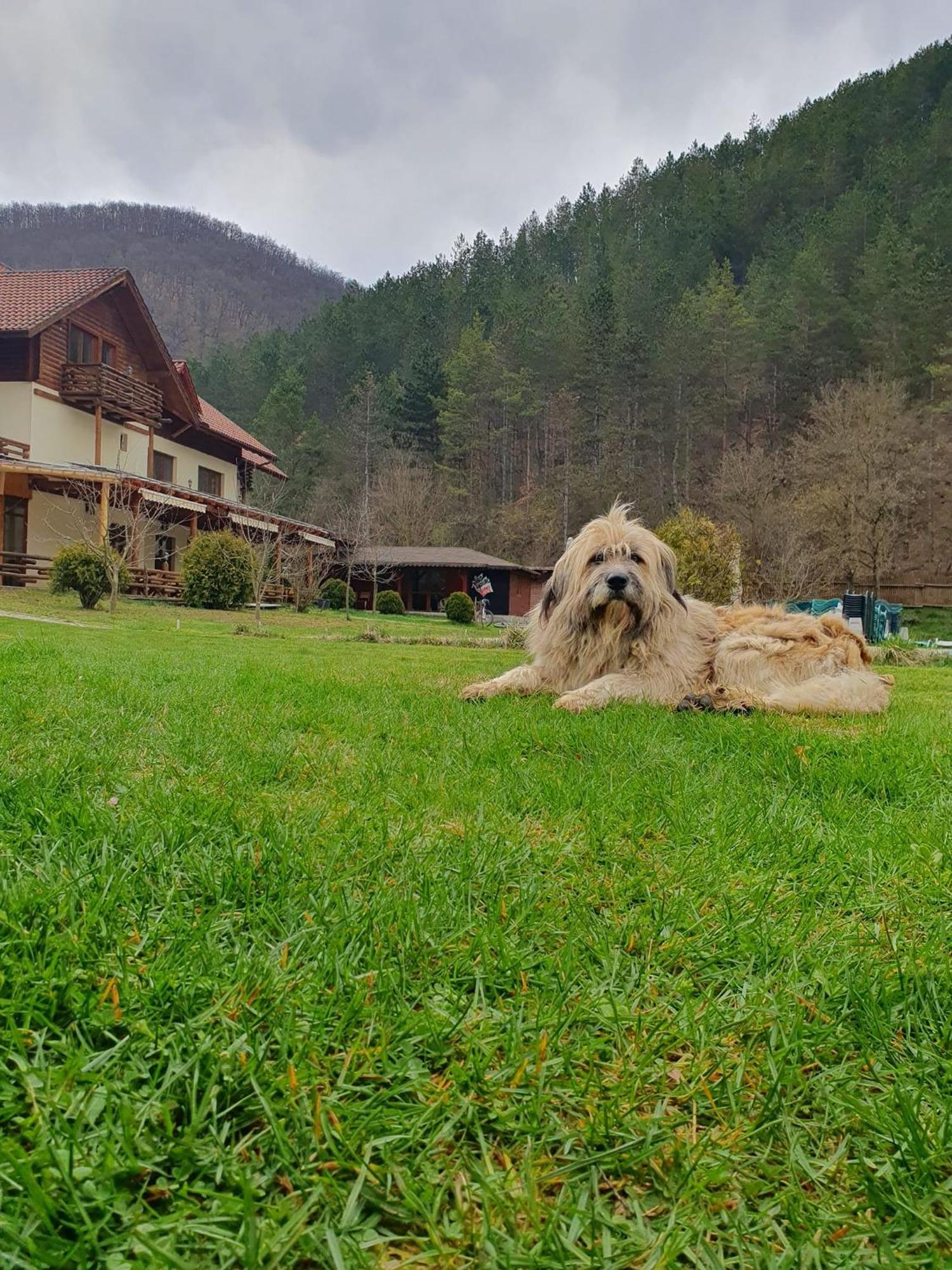 Pensiunea Casiana Ciulpăz Exteriér fotografie