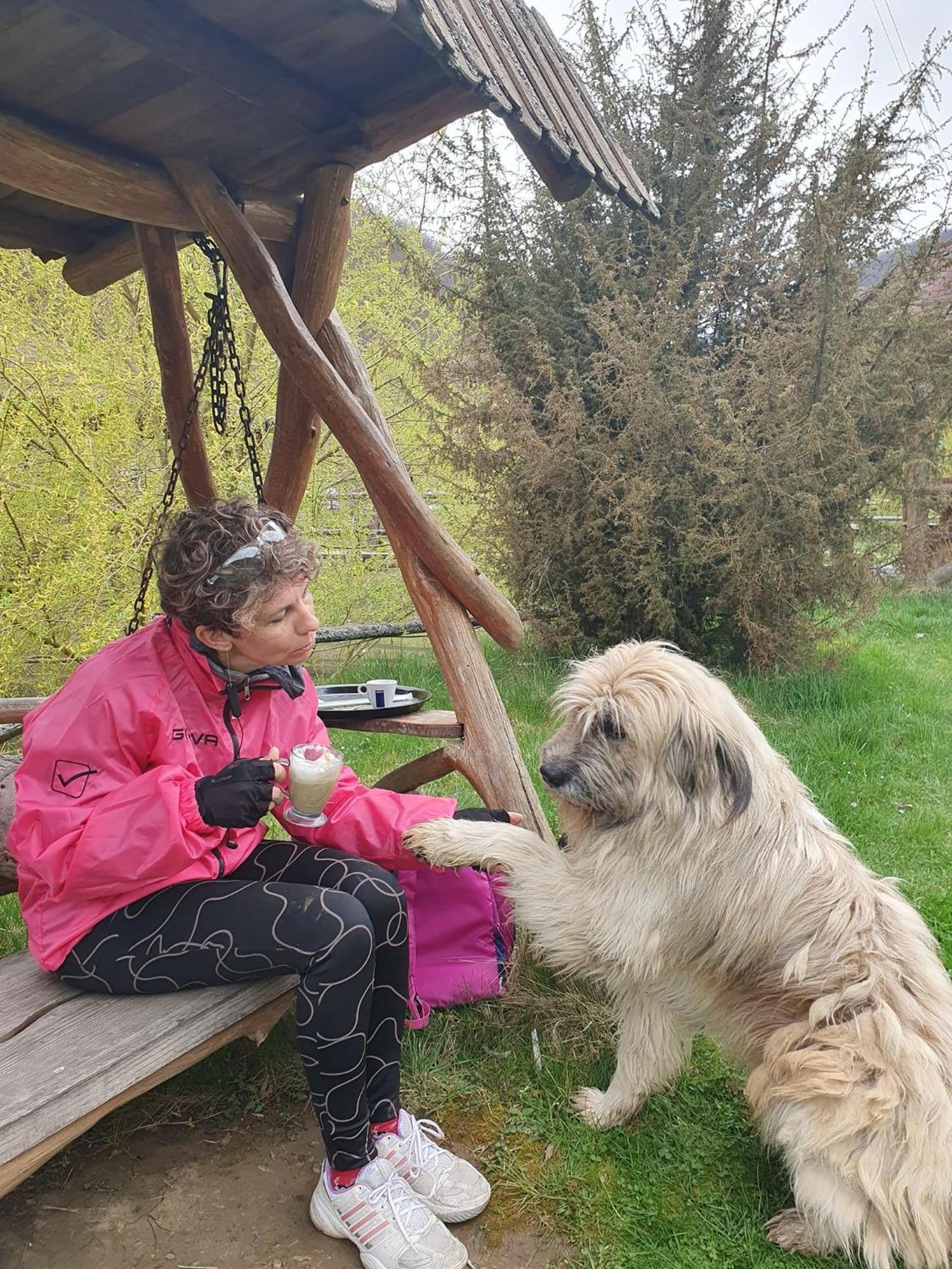 Pensiunea Casiana Ciulpăz Exteriér fotografie